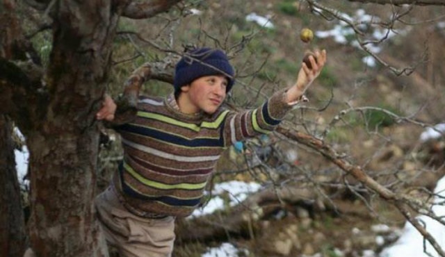 Oscar adayımız Kalandar Soğuğu filminin yönetmeni Kırmızı Halı'da