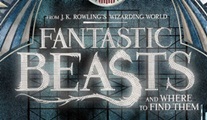 Fantastic Beasts and Where to Find Them