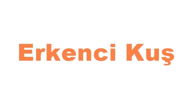 Erkenci Kuş