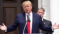 Donald Trump, Jimmy Fallon
