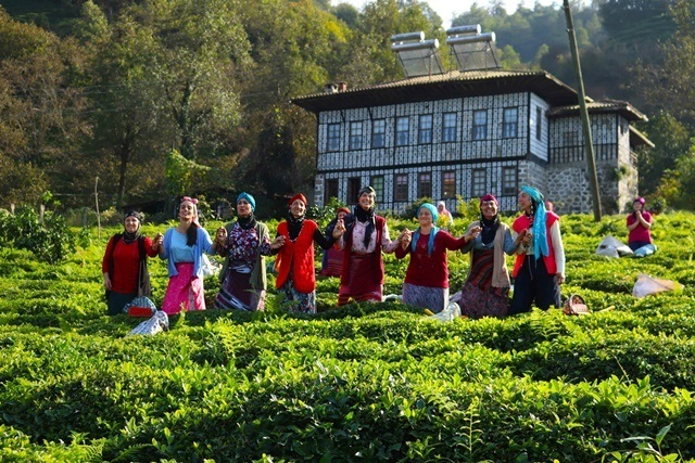 Bölüm: 16