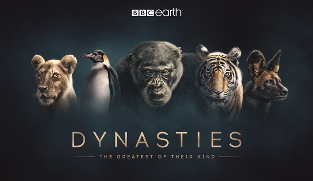 BBC Earth’ün yeni belgesel dizisi Soylar, 22 Kasım’da ekranlarda! 