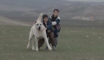 Sivas filmi 11. yılında herkes için YouTube'da!
