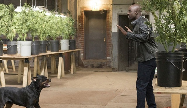 Jessica Jones dizisinden yeni fotoğraflar geldi