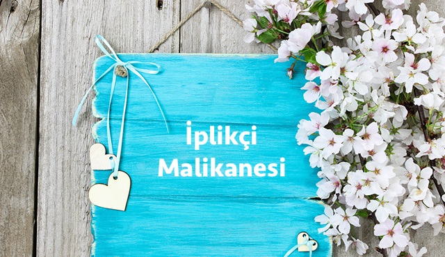 Kiralık Aşk: Bahar geliyor...