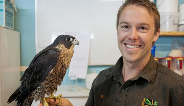 Tim Faulker'in Vahşi Yaşamı 3. sezonuyla Animal Planet'te!