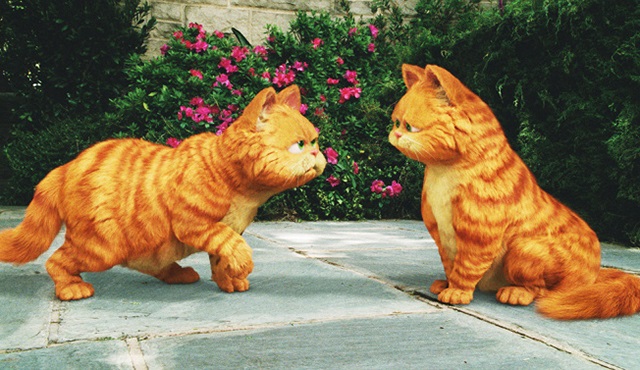 Yeni Garfield animasyon filmi geliyor