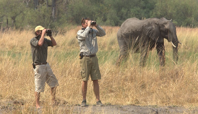 Safari Ekibi Nat Geo Wild ekranlarında