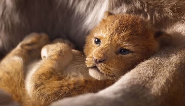 The Lion King: Bir neslin anatomisi