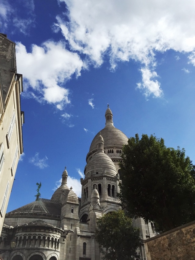 Çok Gezenti - Paris
