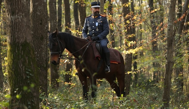Bölüm: 6