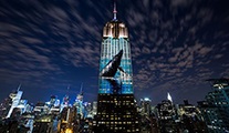 Dünyada çok ses getiren Racing Extinction belgeseli Discovery Science