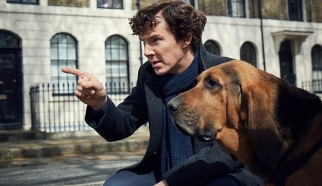 4. Sezon Fotoğrafları