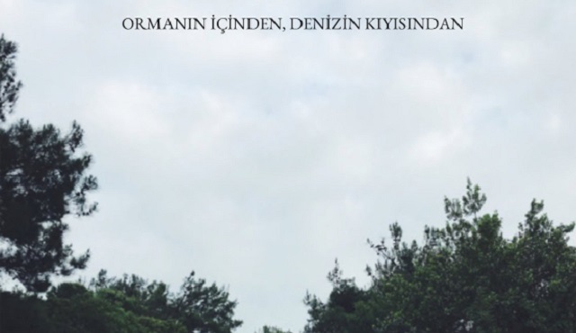 Haftanın kitap önerisi: Ormanın İçinden, Denizin Kıyısından
