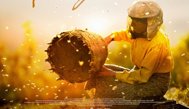 Oscar adayı belgesel Honeyland (Bal Ülkesi), Tv'de ilk kez TRT 2'de ekrana geliyor!