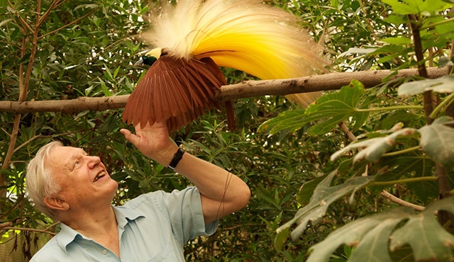 Sir David Attenborough’un yeni belgeselleri BBC Earth ekranında!