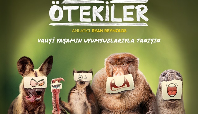 Ötekiler belgeseli Disney+ ve National Geographic WILD’da!