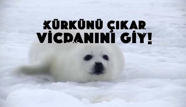 Kürkünü çıkar, vicdanını giy!