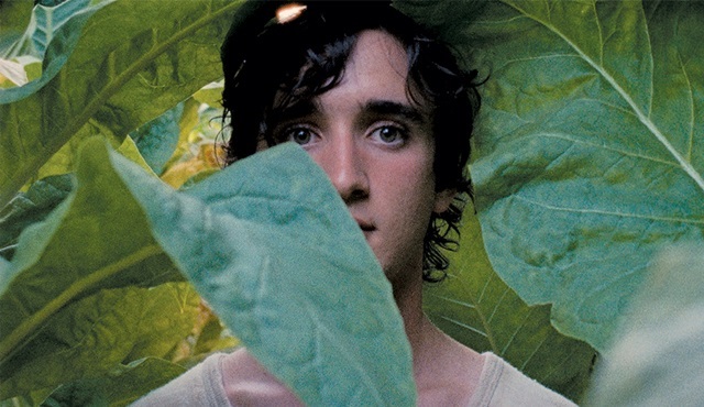 Cannes: Netflix, Happy as Lazzaro ve Girl filmlerinin yayın hakkını aldı