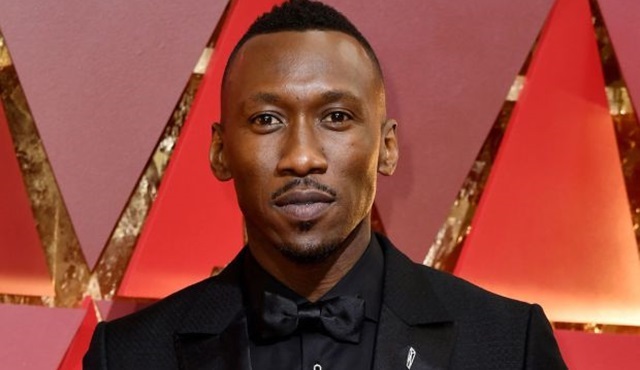 True Detective 3. sezon onayını resmen aldı