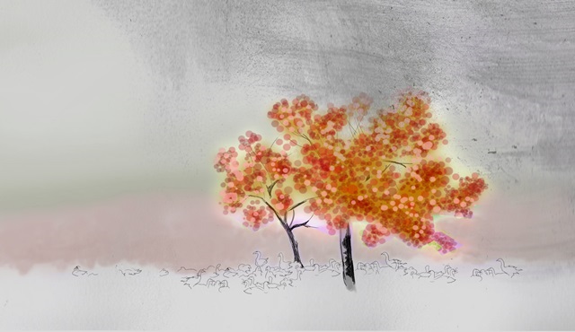 13. Akbank Kısa Film Festivali başlıyor!