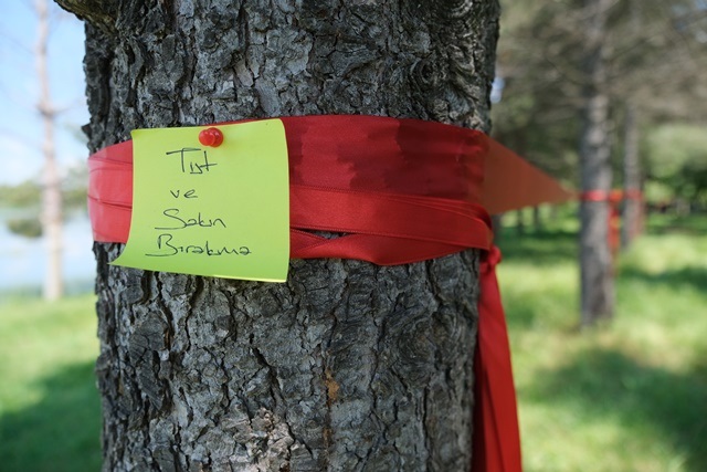 Bölüm: 7