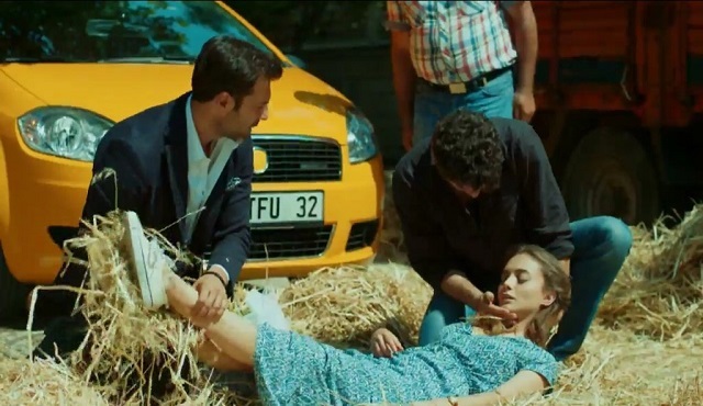 Güllerin Savaşı Kolaj