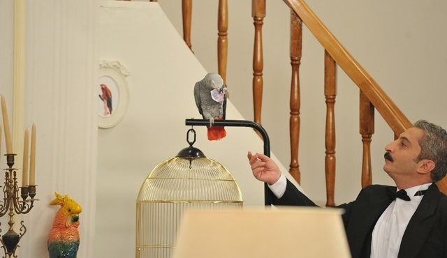 Bölüm: 2