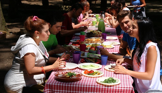 No: 309 | Lale and Onur decide to get back at their families 