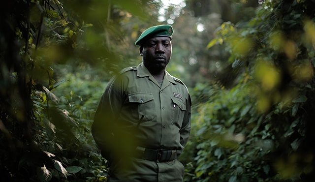 Explorer 2.0: Virunga Parkı, Temmuz’da Nat Geo’da!