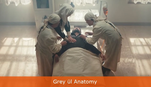 Filinta Caps: Grey ül Anatomy