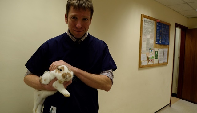 Yorkshire Veterineri yeni sezonuyla Nat Geo People’da