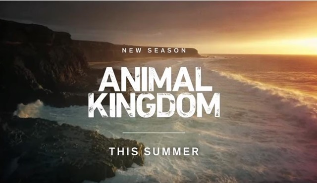 Animal Kingdom 3. sezonuyla bu yaz ekranlara dönüyor