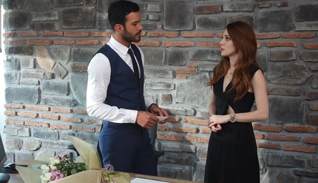 Kiralık Aşk: Kedicik Simurg'u avlıyor!