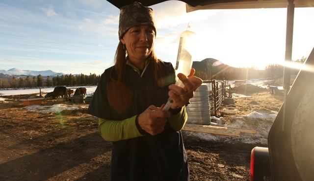 Yukon Veterineri özel bölümleriyle Nat Geo People'da ekrana gelecek!