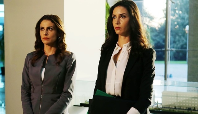 Siz hepiniz, Cihan tek!