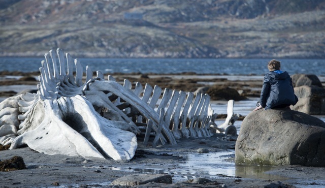 Leviathan: Bir devletin korkunç portresi