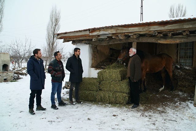 Bölüm: 19