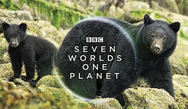 BBC yapımı Seven Worlds, One Planet belgeseli Emirates uçaklarında canlı gösterimde!