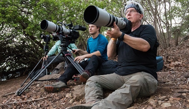 Tazmanya Şeytanları Kritik Görev: Son Şeytanlar ile Nat Geo Wild’da