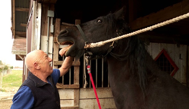 Dr. Pol, 6. sezon bölümleriyle Nat Geo People'da başlıyor!