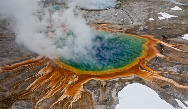 Vahşi Yolculuk: Yellowstone Nat Geo Wild ekranlarına geliyor!