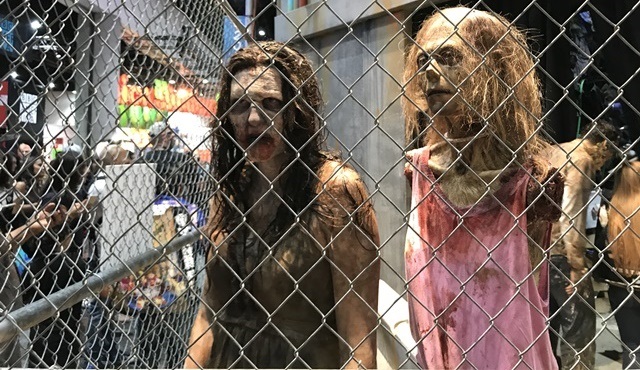 Comic Con’un ardından