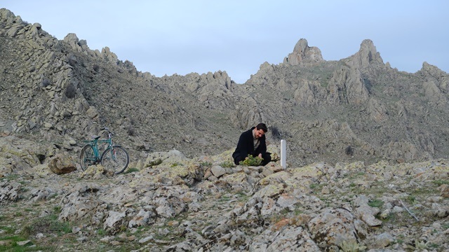 Bölüm: 95