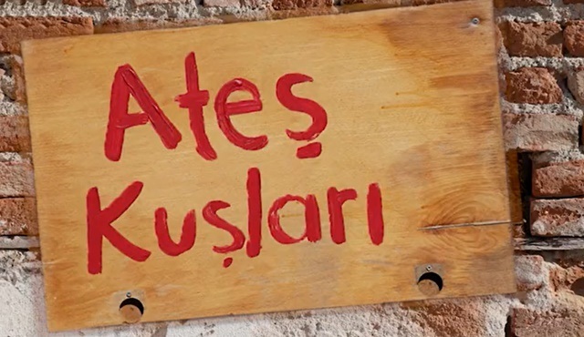 Ateş Kuşları