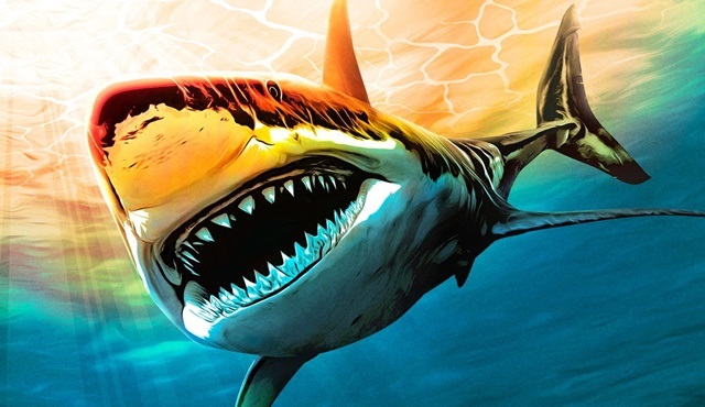 Jason Momoa, sizi “Köpekbalığı Haftası” heyecanına davet ediyor! 