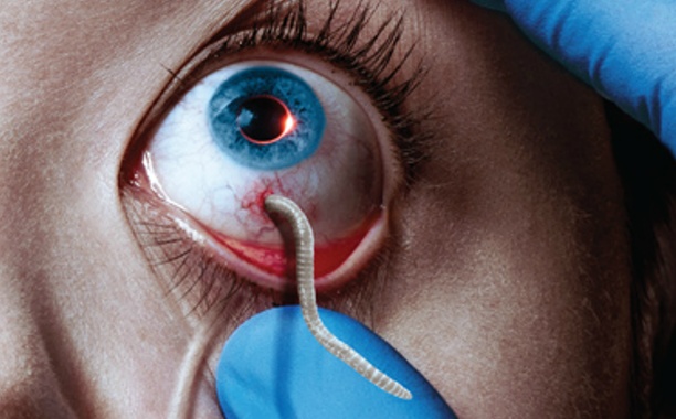 The Strain 