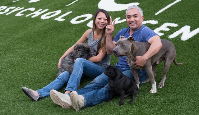 Cesar Milan ile Köpekler Diyarı Nat Geo People ekranlarında başlıyor