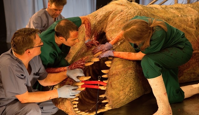 Gerçek Boyutlu Bir T.rex Otopsi’si 14-19 Haziran’da Nat Geo’da!
