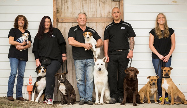 Minik Köpeciklerden Köpek Yıldızlara, Animal Planet'te!